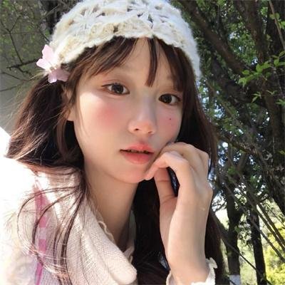 29片棕榈叶