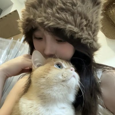 科搜研之女2022